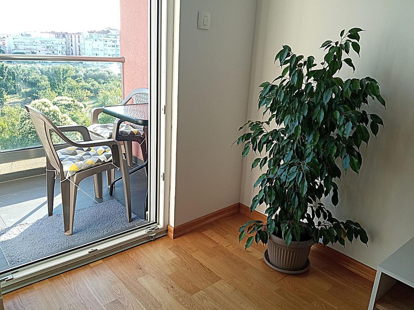 Renta Apartman Podgorica Exterior photo